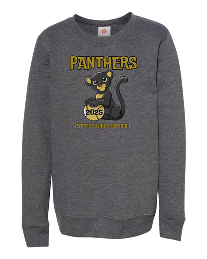 Panthers Youth Crewneck Sweatshirt