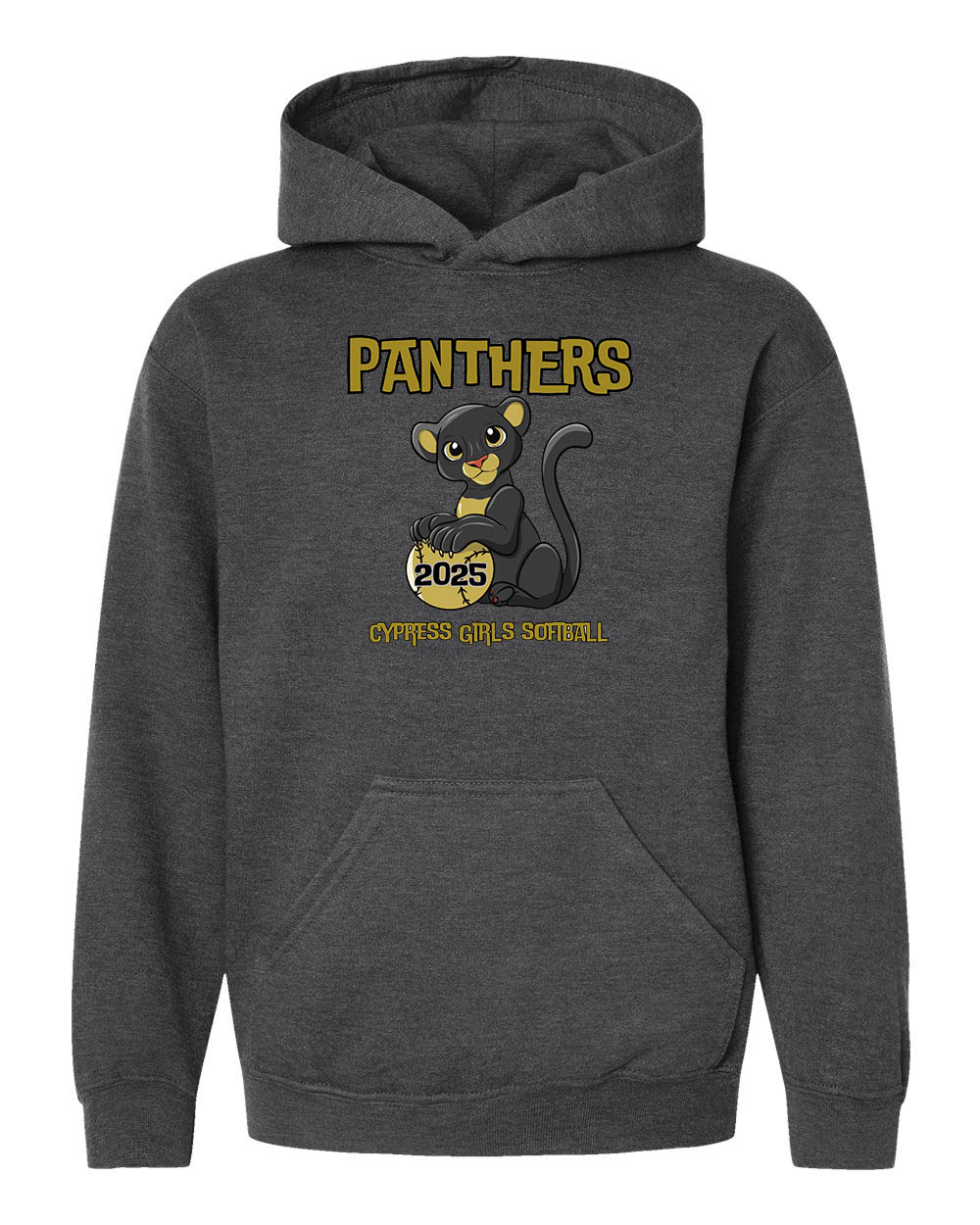 Panthers Youth Hooded Sweatshirt