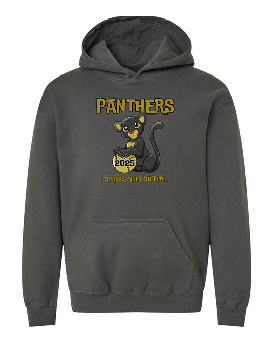 Panthers Youth Hooded Sweatshirt